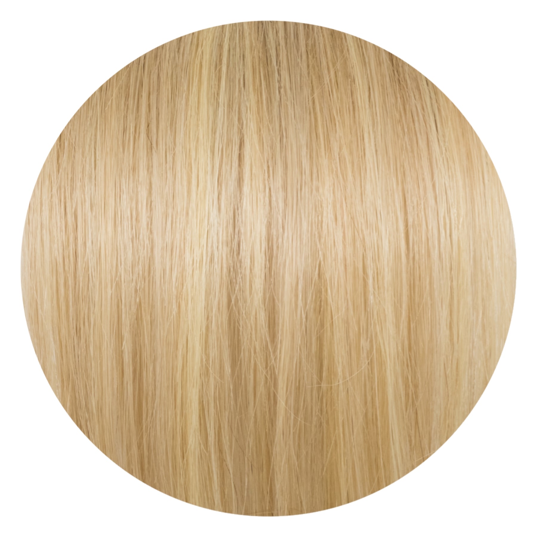 12" Clip In Hair Extensions Deluxe Box ($208.00-$238.00)