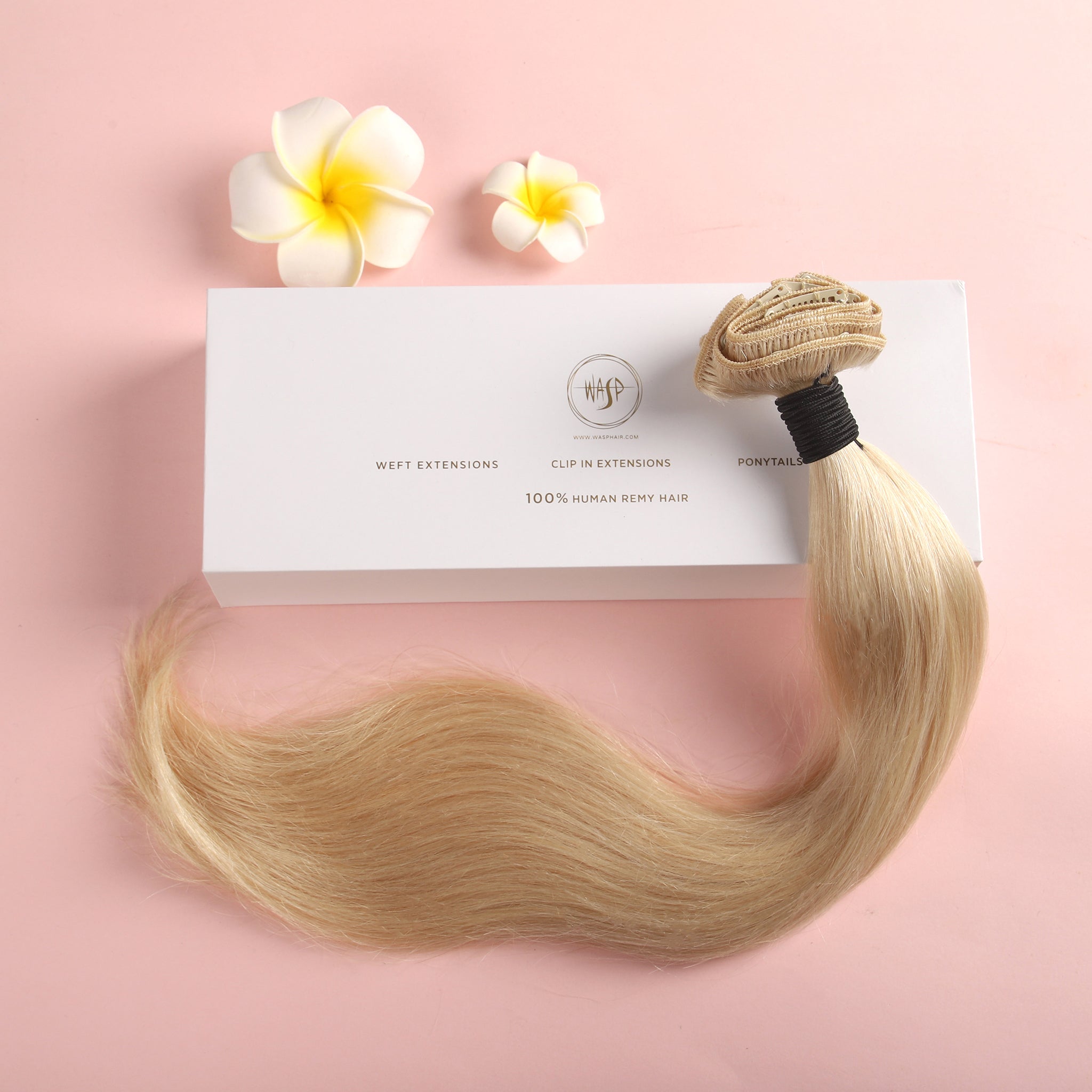 22" Clip In Hair Extensions Deluxe Box ($468.00 - $568.00)